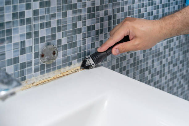 Best Mold Testing and Inspection Services in Monarch Mill, SC